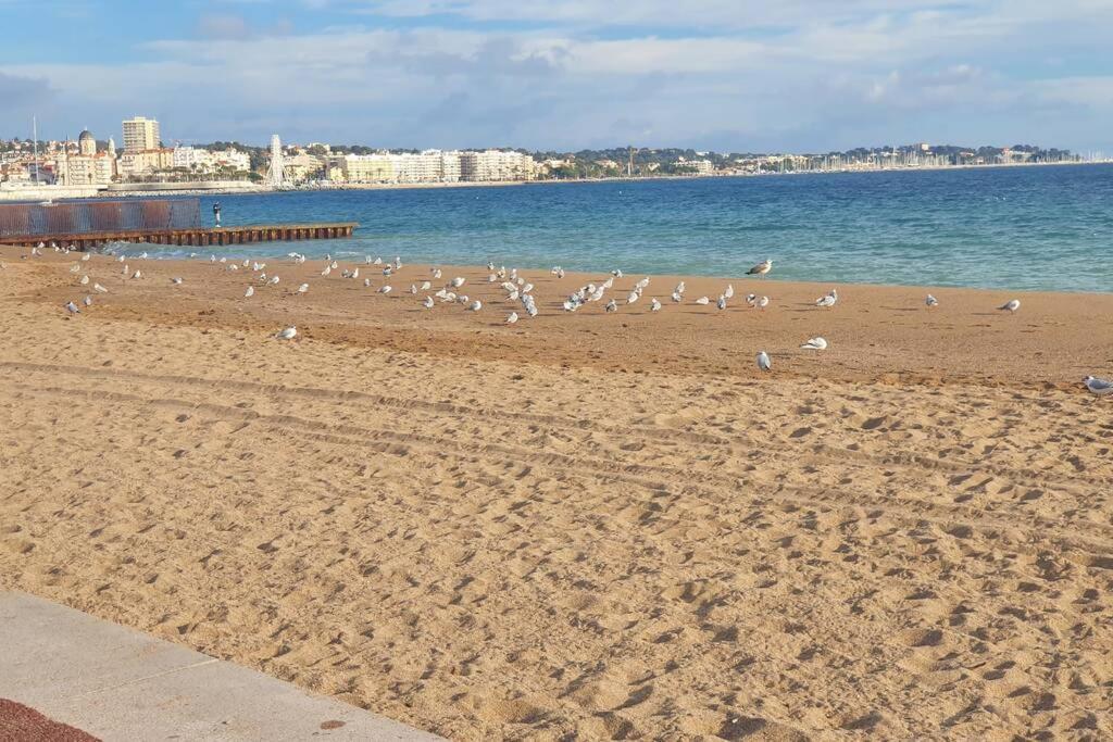 T2 Climatise A 5 Minutes A Pied De La Plage Avec Parking, Piscine Et Wifi Fréjus 외부 사진